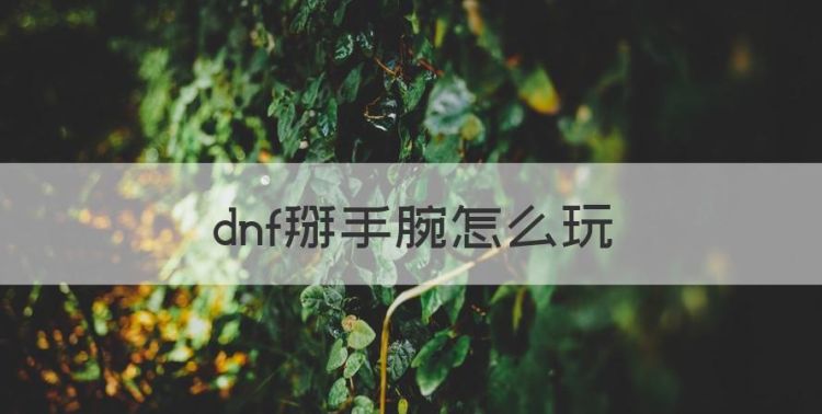 dnf掰手腕怎么玩，dnf中召唤师有哪几种加点方法啊