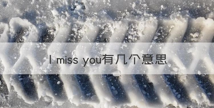 lmissyou有几种意思，I miss you有几个意思图1