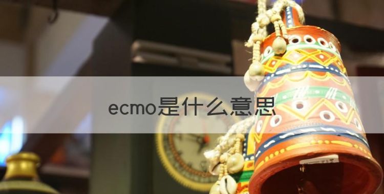 ecmo是什么意思，eco是什么意思翻译成中文图1