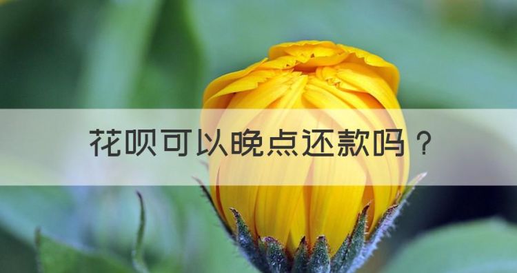 花呗可以晚点还款，花呗可延期还款几次