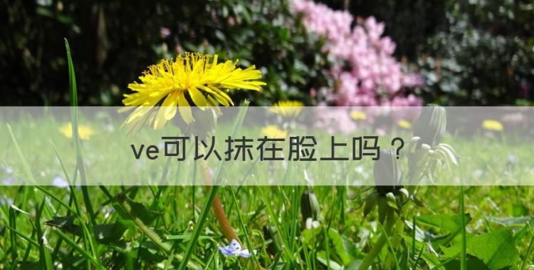 gswave怎么使用，ve可以抹在脸上图1