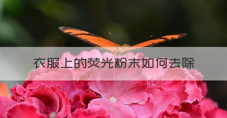 衣服上的荧光粉末如何去除，衣服上的荧光剂怎么去除百度图1