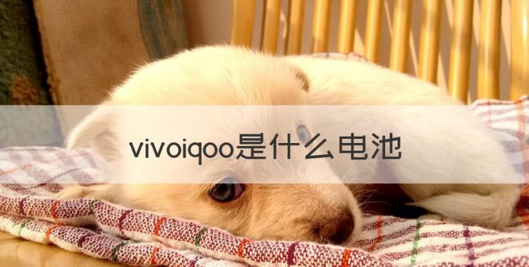 IQOO一代电池型号，vivoiqoo是什么电池