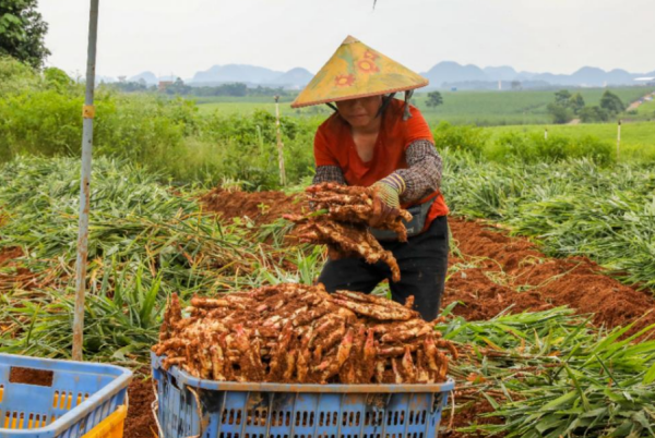 秋分设为什么节日,每年农历秋分设立为什么节日图2