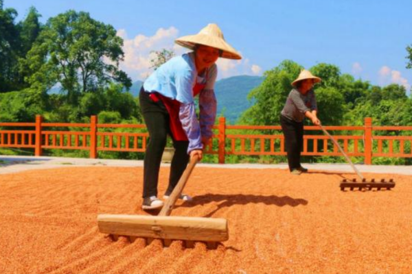 秋分设为什么节日,每年农历秋分设立为什么节日图4