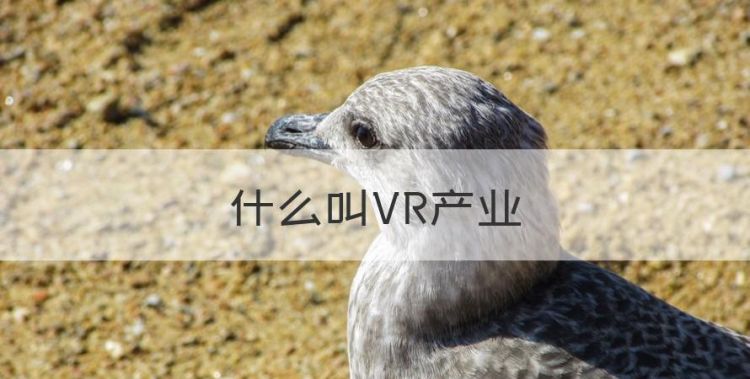 什么叫VR产业，VR是什么行业?