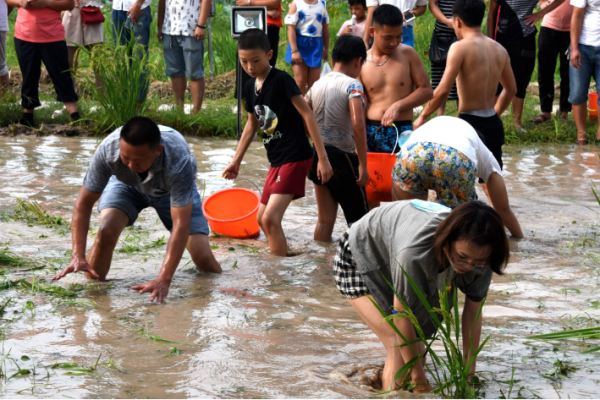 浑水摸鱼是什么意思,浑水摸鱼什么意思图3