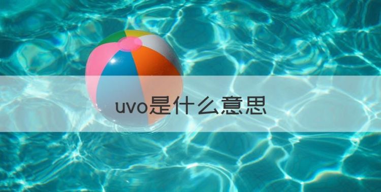 uvo是什么意思，漏电开关230v是什么意思