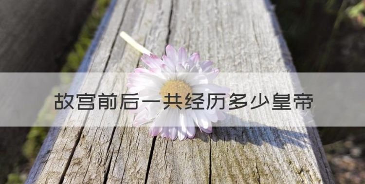 故宫前后一共经历多少皇帝，故宫是明清两代的皇宫改为反问句