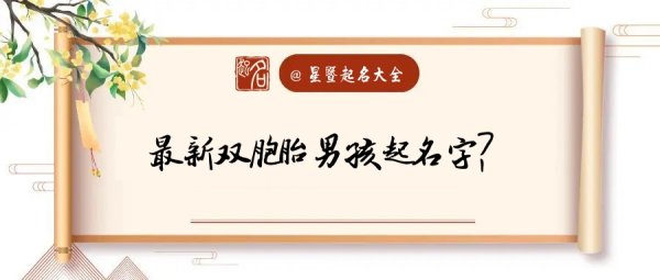 出生双胞胎起名字,出生双胞胎男孩起名字