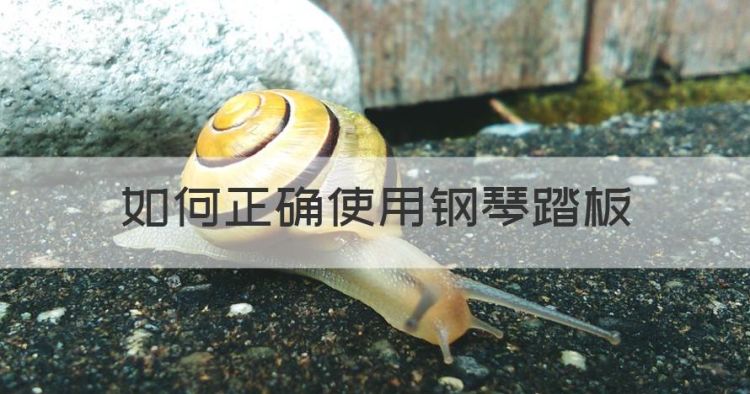 如何正确使用钢琴踏板，钢琴踏板的使用方法全攻略图1