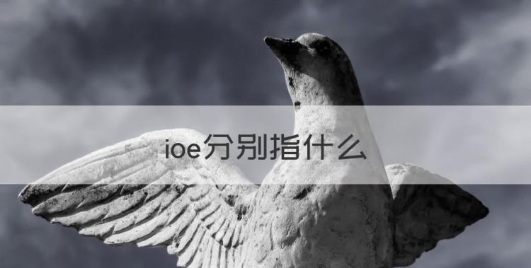 IOE指什么，ioe分别指什么