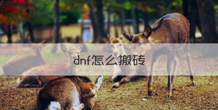 dnf怎么搬砖，DNF如何快速搬砖