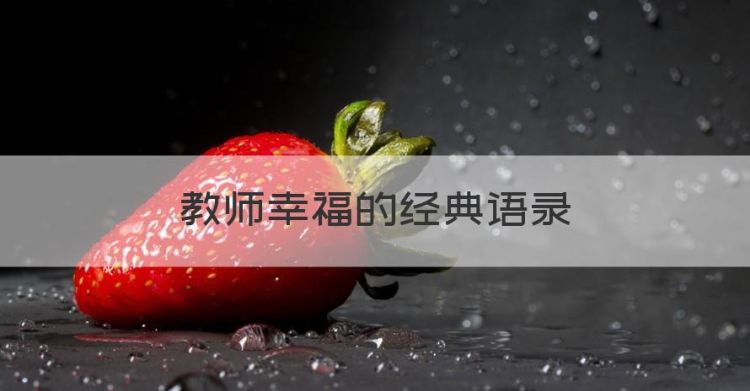 教师幸福的经典语录