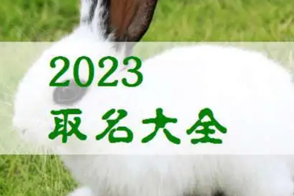 小孩取名字大全2023属兔免费,给宝宝取名字属兔男孩名字