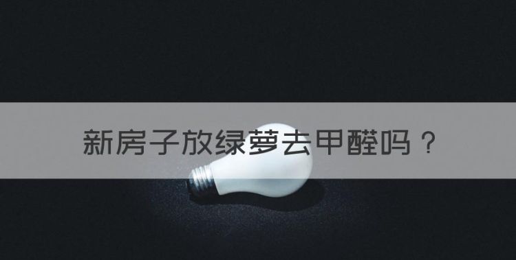 新房子放绿萝去甲醛，绿萝能除甲醛和异味吗