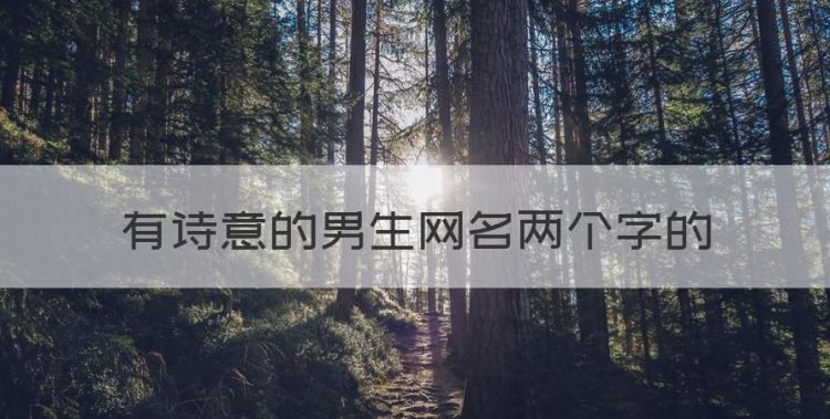 两个字诗意的网名古风，有诗意的男生网名两个字的