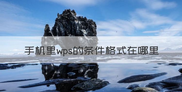 手机里wps的条件格式在哪里，手机版wps怎么设置条件格式