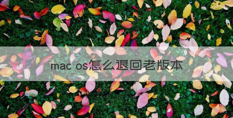 mac os怎么退回老版本图1