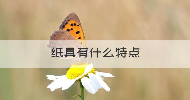 纸具有什么特点，纸的特性是什么意思图1