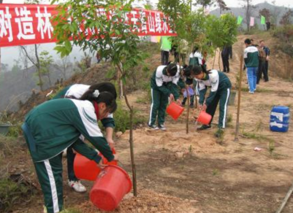 植树节可以做什么,植树节要干什么