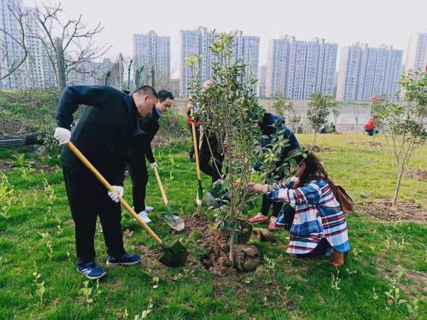 植树节可以做什么,植树节要干什么图3