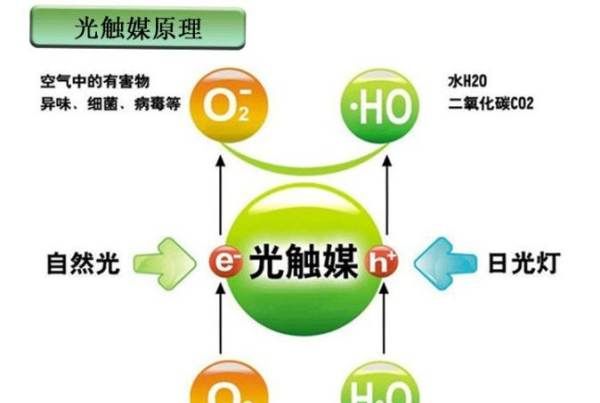 如何去除新车的气味，我刚买的新车啊表情包图5