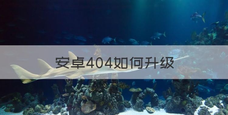 安卓404如何升级，爱可视404怎么重装系统