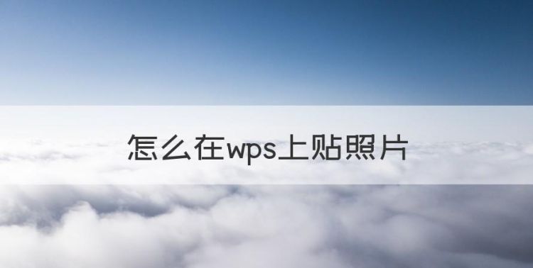 怎么在wps上贴照片，如何用手机在wps里添加字体