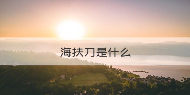 海扶刀是什么，海扶刀手术多少钱图1