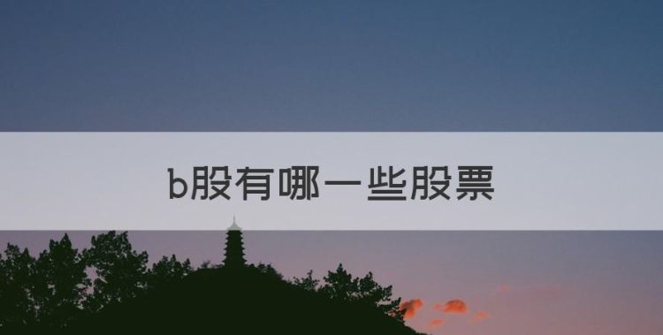 什么是B股票，b股有哪些股票图1