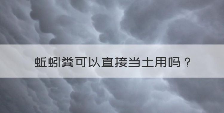 蚯蚓粪可以直接当土用，可不可以直接用蚯蚓土养花图1