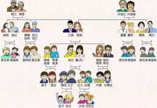 如何区分侄子和外甥,外甥和侄子有什么区别图3