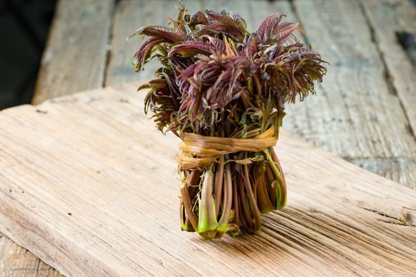 腌好的香椿芽怎么吃,腌制过的香椿芽怎么做好吃又简单