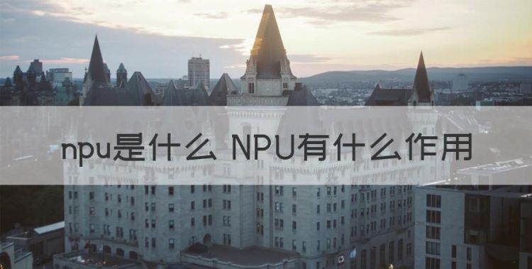 npu是什么 NPU有什么作用