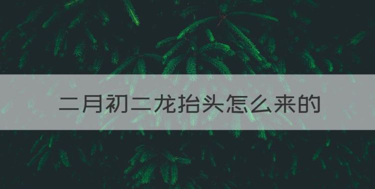 二月初二龙抬头怎么来的，二月二龙抬头出生的人是什么命图1