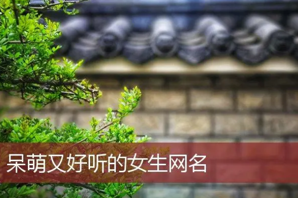 好听的名字网名,名字网名好听两个字