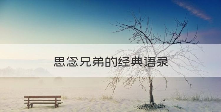 思念兄弟的经典语录，亲兄弟情深的经典句子八个字图1