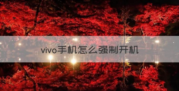 vivo手机怎么强制开机