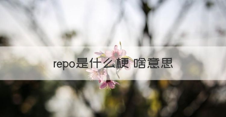 repo是什么梗 啥意思，二次元的屑是什么意思