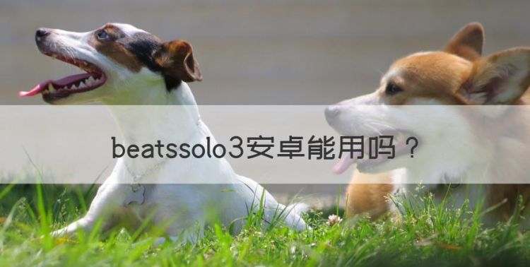 beatssolo3安卓能用，beatssolo3支持安卓吗