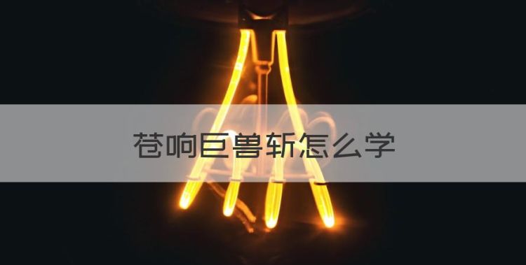 苍响巨兽斩怎么学，究极绿宝石5神奇糖果哪里买