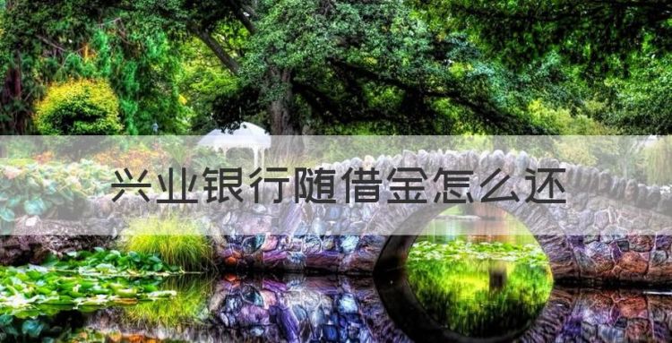 兴业银行随借金怎么还，兴业银行随借金怎么用合适