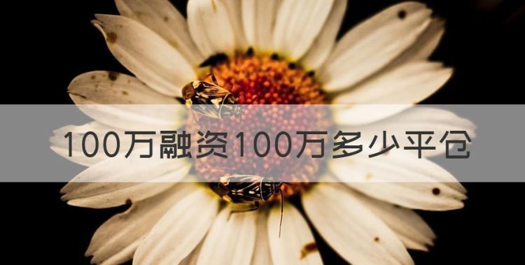 00万融资00万多少平仓，100万融资200万多少平仓图1