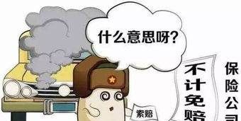 不计免赔是什么意思，车辆不计免赔险是什么意思图2