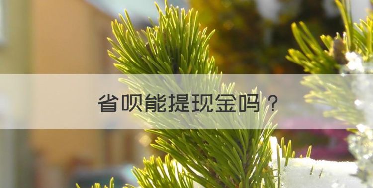 省呗能提现金，省呗购买机票随心飞能提现吗图1