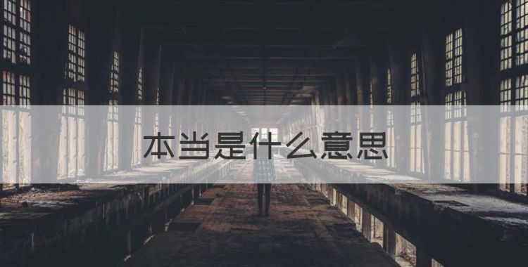 本当是什么意思