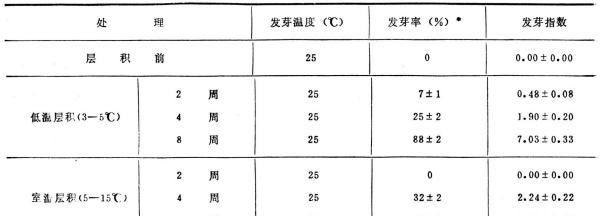 红花苗长什么样子，红花的特征有哪些图9