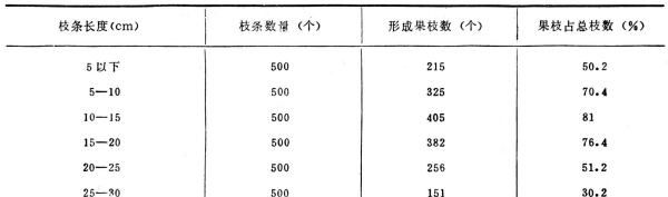 红花苗长什么样子，红花的特征有哪些图11