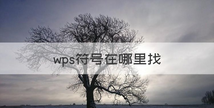 wps符号在哪里找，wps里的空集符号在哪里打出来图1